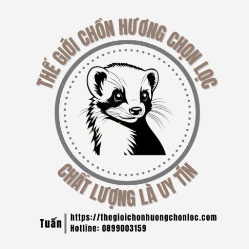THẾ GIỚI CHỒN HƯƠNG CHỌN LỌC
